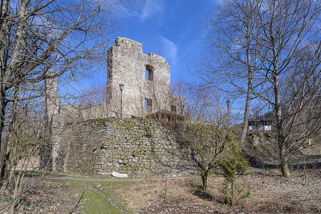 The Seisenburg, also called Hochseisenburg, is a ruined castle in Pettenbach, Upper Austria.