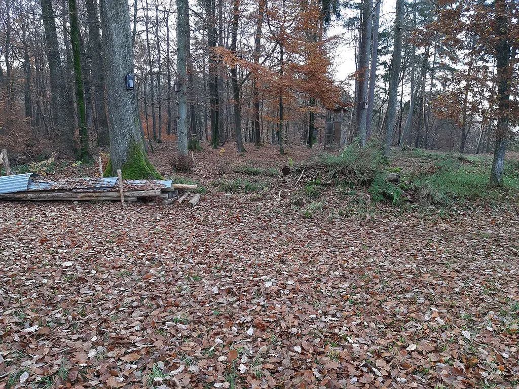 Burgstelle Hebelstein