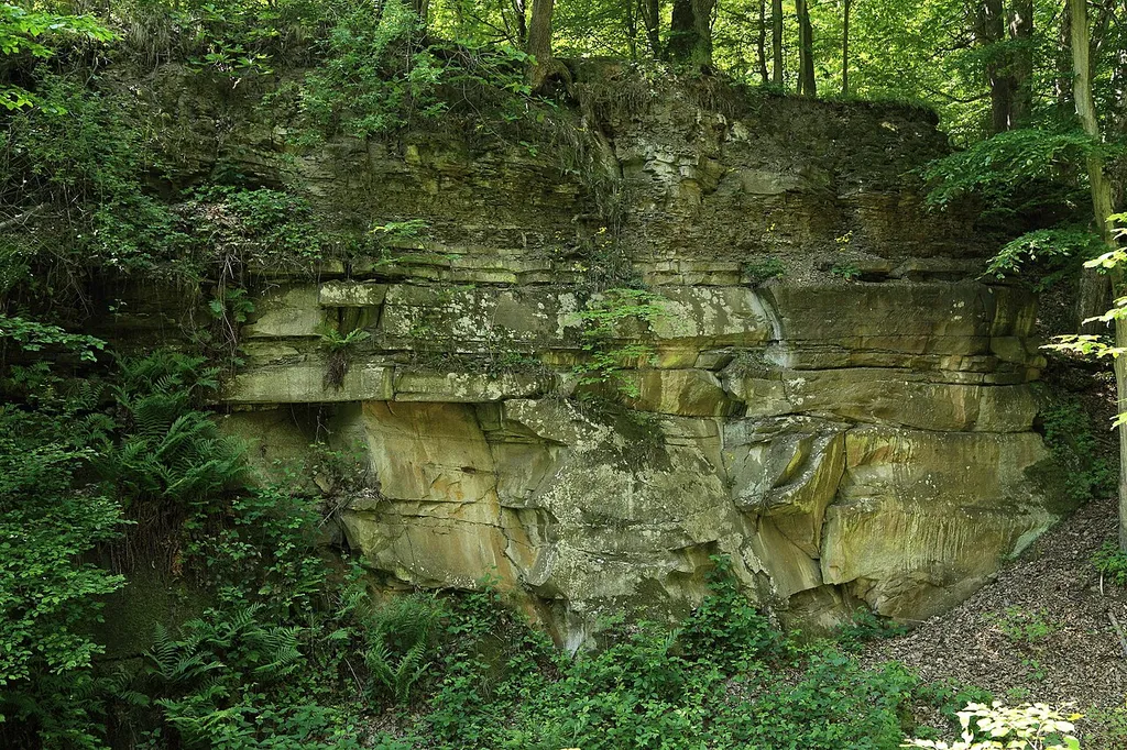 Ehemaliger Sandsteinbruch W von Hoechberg Bayerns schönste Geotope Nr.: 86; Geotop-Nummer: 679A007 6225GT000005 Höchberg Würzburg 6225 Würzburg Süd R: 4346095 H: 5518604 Westliche Fränkische Platten