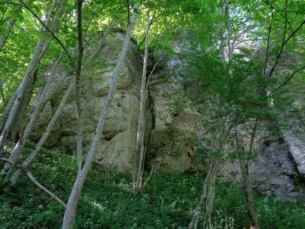 Landschaftsschutzgebiet (LSG:BW-4.15.127)_Fischburgtal; Flächenhaftes Naturdenkmal: Schwanenbergfels (Schafwäschefels) (84150780059); Geotop: Schwanenbergfelsen (Geotop-ID ND8415118); FFH-Gebiet: Uracher Talspinne (7522341); Biosphärengebiet Schwäbische Alb (Schutzgebiets-Nr. 1); zwischen Seeburg (bei Urach) und Hengen (Bad Urach)