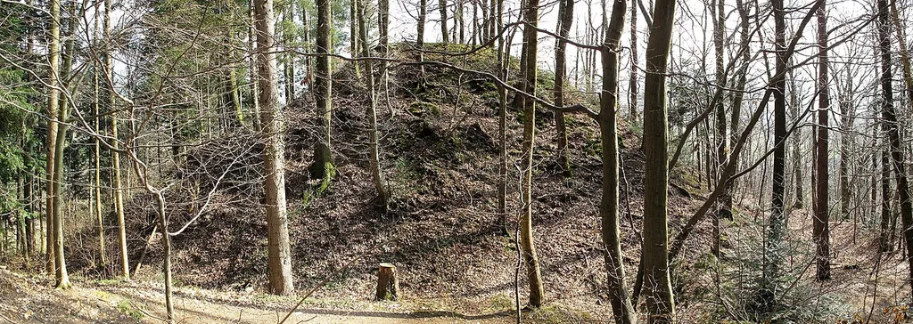 Turmhügel von Nordwesten.