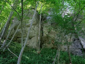 Fischburgtal