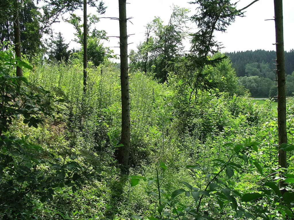 Burgstall Menburg, Blick nach Süden