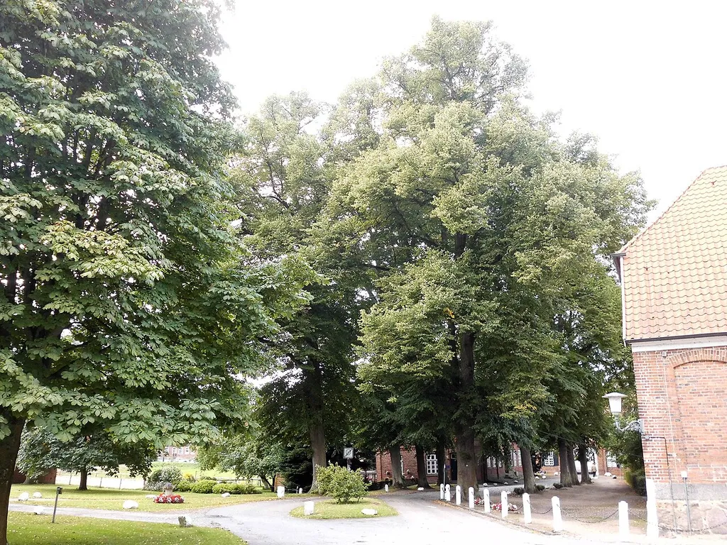 Zufahrtsallee (Linden) zum Klosterhof in Preetz.
