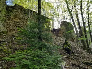 Montvoie Castle