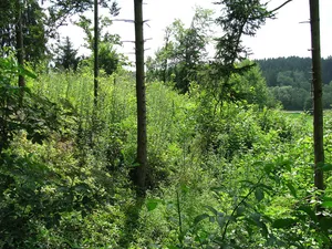 Burgstall Menburg
