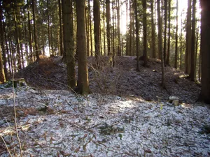 Burgstall Fischbach