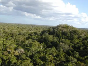 Maya Biosphere Reserve
