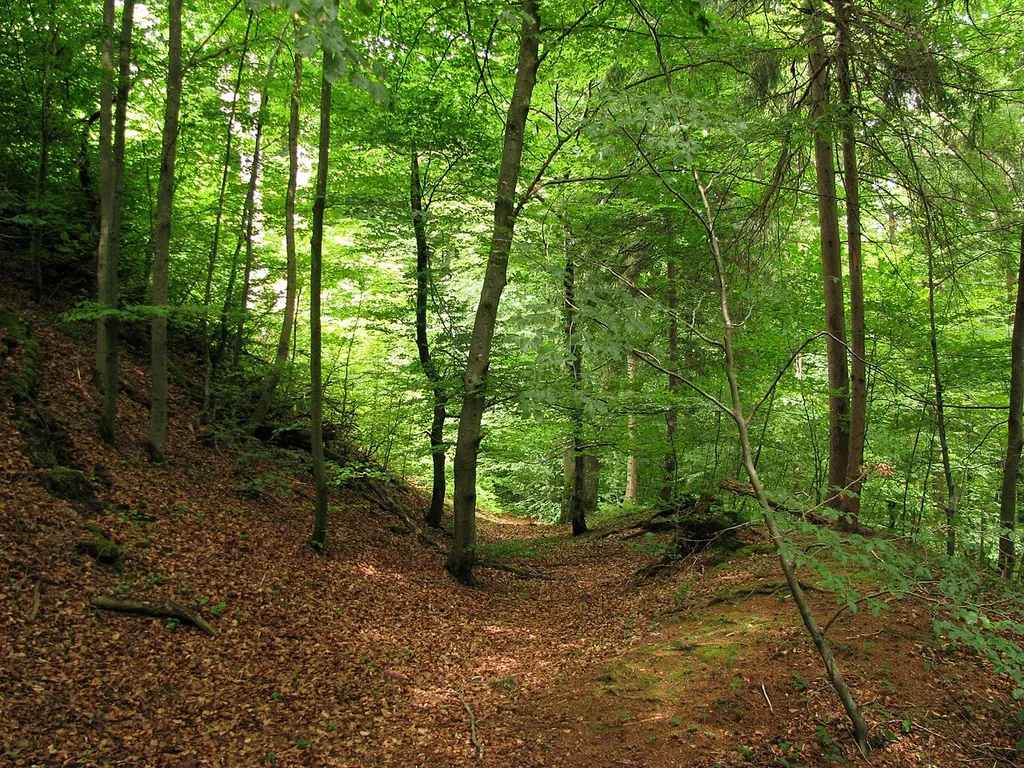 Südöstliche Seite des Burghügels, nach Nordosten.
