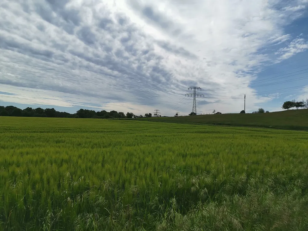 Vogelschutzgebiet Moritzburger Kleinkuppenlandschaft bei Marsdorf