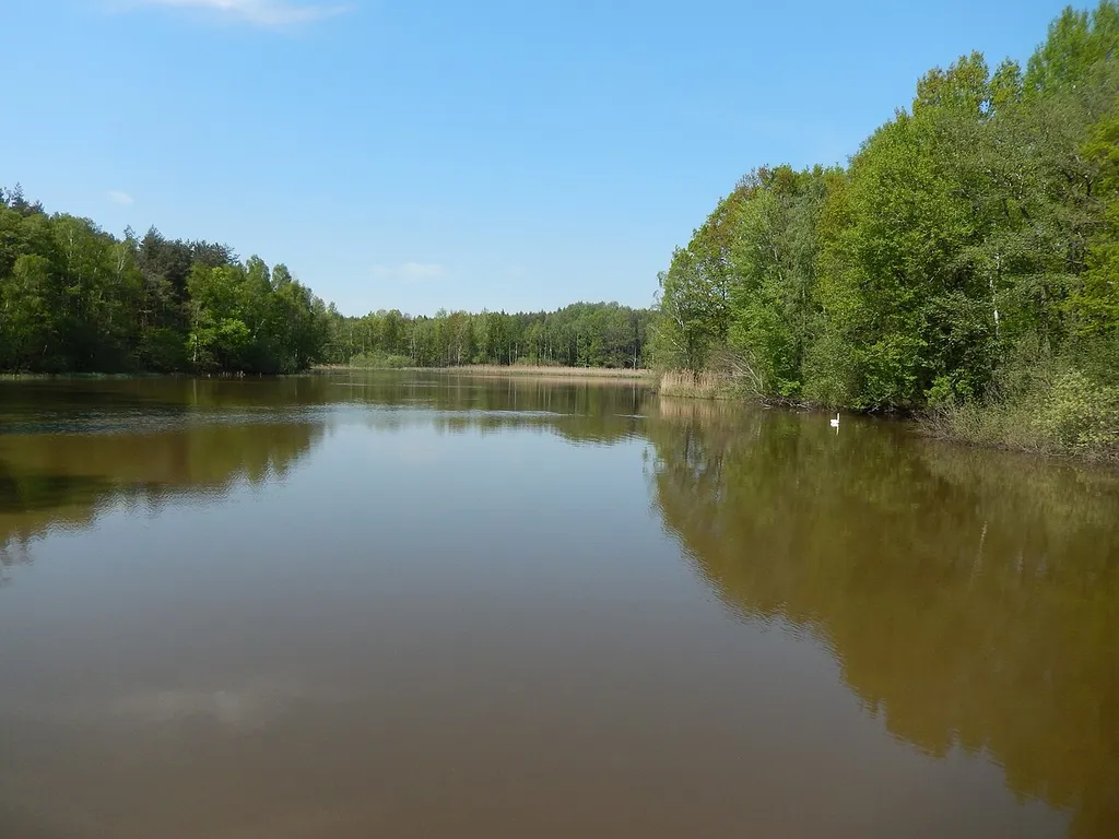 Moritzburg-Kleinkuppenlandschaft, Bauernsee. FHH-Gebiet: Moritzburg Wiesen und Wälder, Gebietsnummer 4847-302. Landschaftsschutzgebiet. Friedewald, Moritzburger Teichlandschaft und Lößnitz: Code 320894