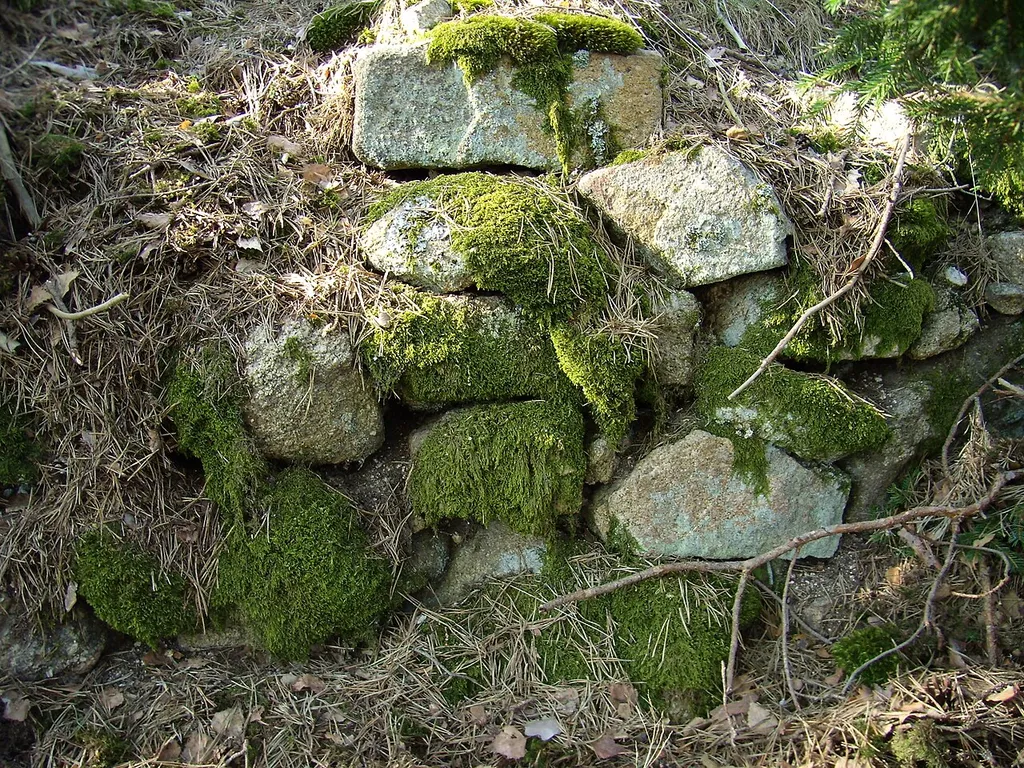 Burgstall Strafenberg (Mauerreste)