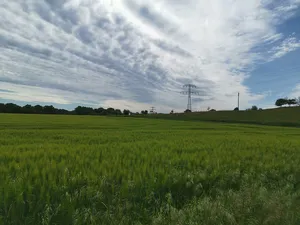 Moritzburger Kleinkuppenlandschaft