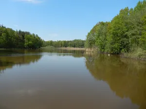 Moritzburger Teiche und Wälder
