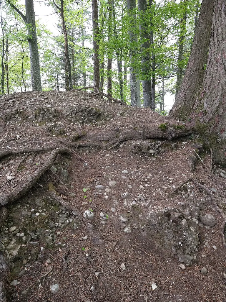 Friesenberg Ruine