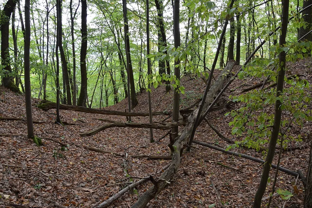 South Harz Karst Landscape Biosphere Reserve