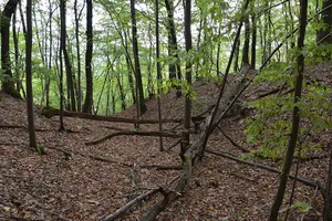 South Harz Karst Landscape Biosphere Reserve
