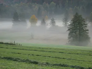 Kemmerlanger Moos
