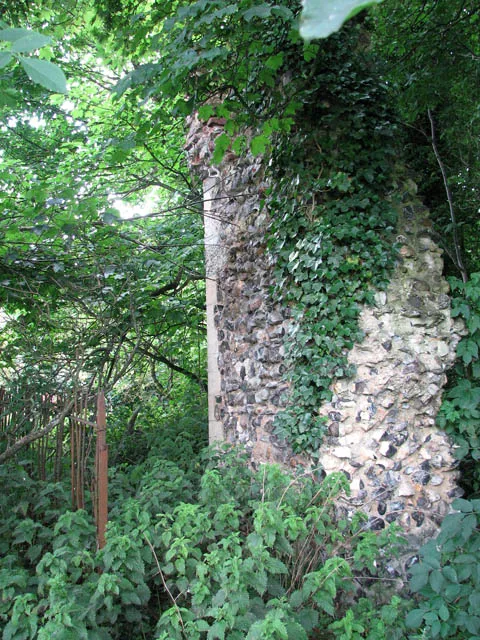 The ruins of St Andrew's church - the south-west corner This ruined church is very difficult to find and even more diffcult to access. Perched above Whitlingham Lane and the River Yare, surrounded by tall trees and very much overgrown by ivy, it is hemmed in on the other side by the busy A47 southern bypass road. The whole northern part of the building appears to have fallen down the slope and its round tower collapsed in 1940. Apparently there have been attempts to preserve the ruin if only as an aesthetic focal point since Whitlingham was a favourite romantic walking spot in the 18th century. What remains to-date is the south chancel wall and part of the south nave wall none of which can be discerned at this time of the year. See > 119824 for comparison - this is an image taken two years ago in January with the vegetation not near as dense as it is in July. See also: http://www.norfolkchurches.co.uk/whitlingham/whitlingham.htm