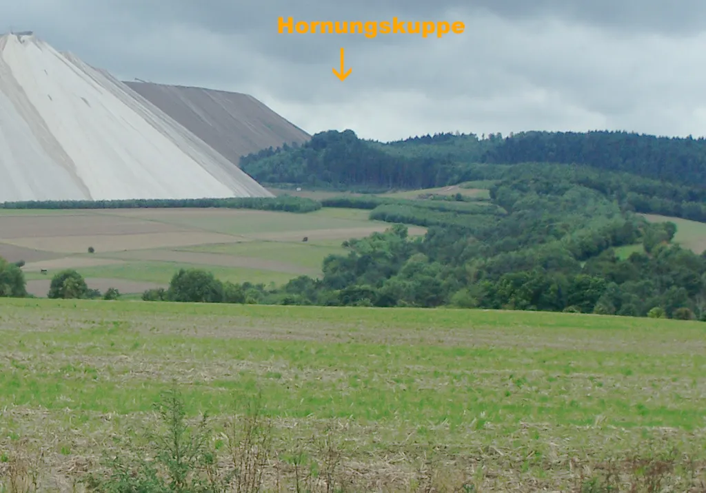 Burg Hornsberg