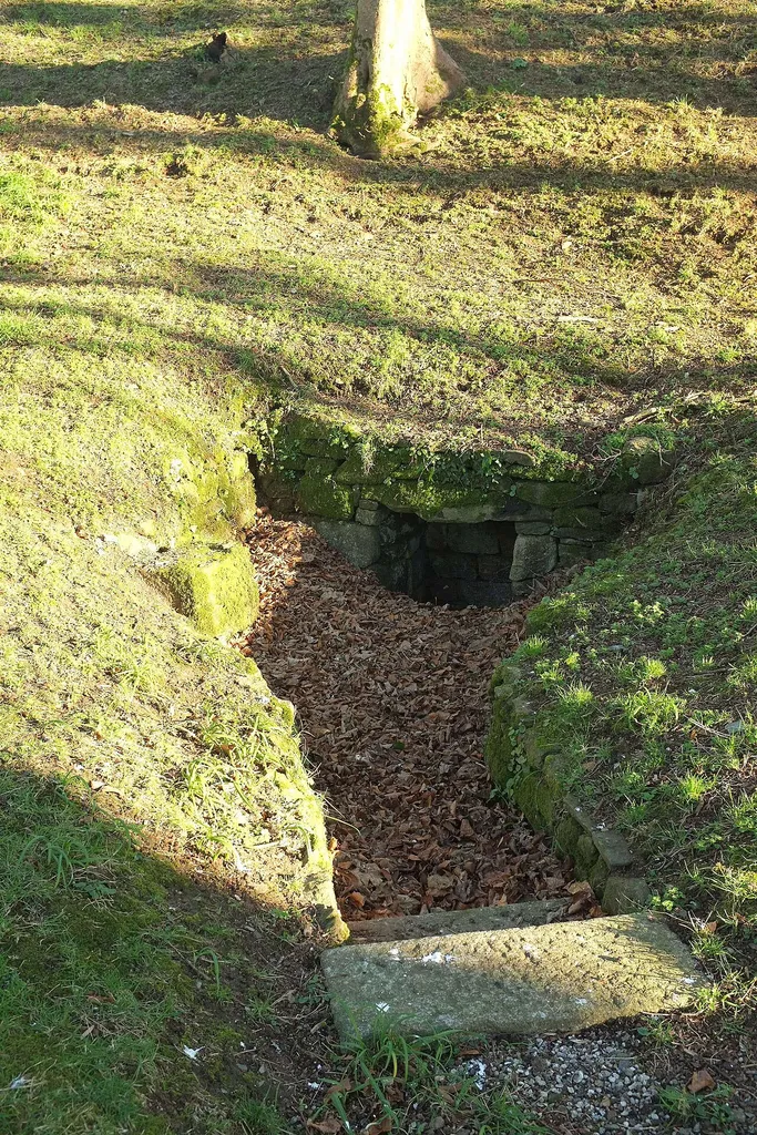 Holy well, Michaelstow churchyard