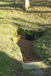 Holy well in Michaelstow churchyard