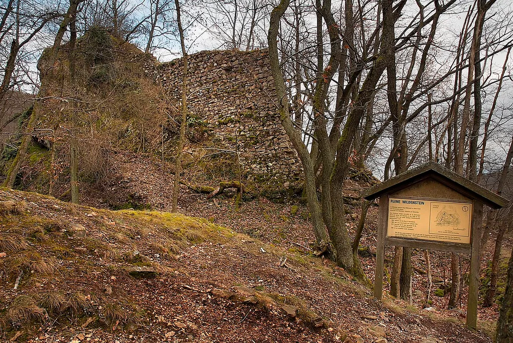 Remains of Wildenstein Castle