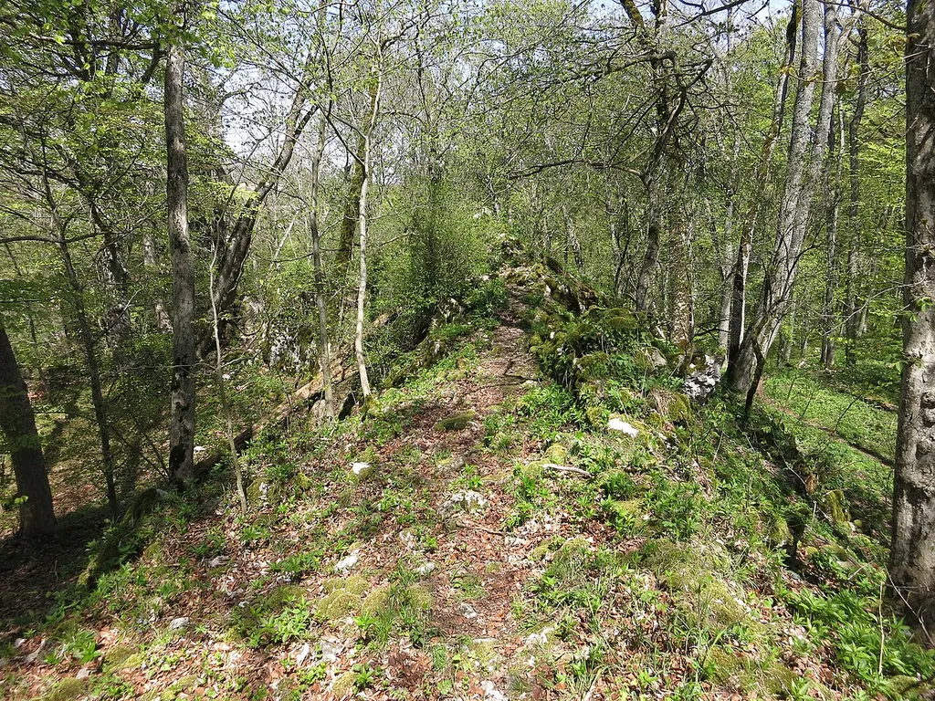 The site of former Burg Hohengenkingen, Schwäbische Alb