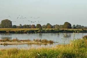 LSG Donau-Auen zwischen Günzburg und Gundelfingen