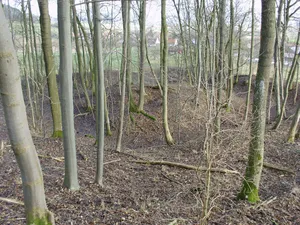 Lunkenburg