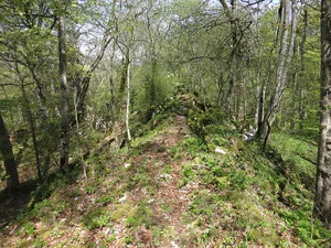Burg Hohengenkingen
