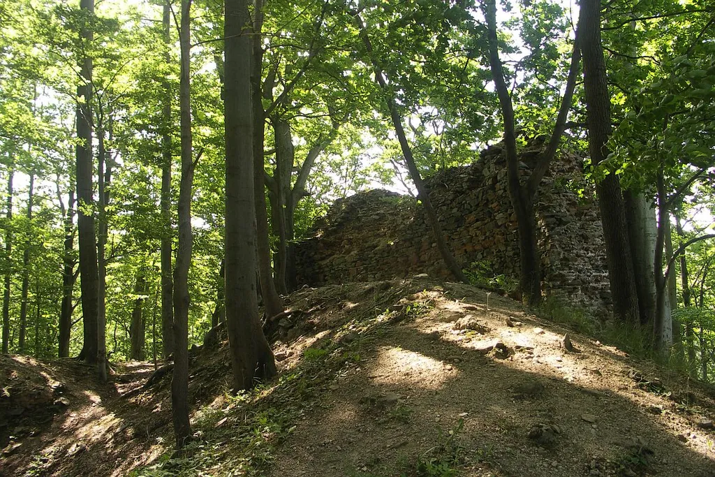 castle in ruins Roimund, northern Bohemia, Czech Republic