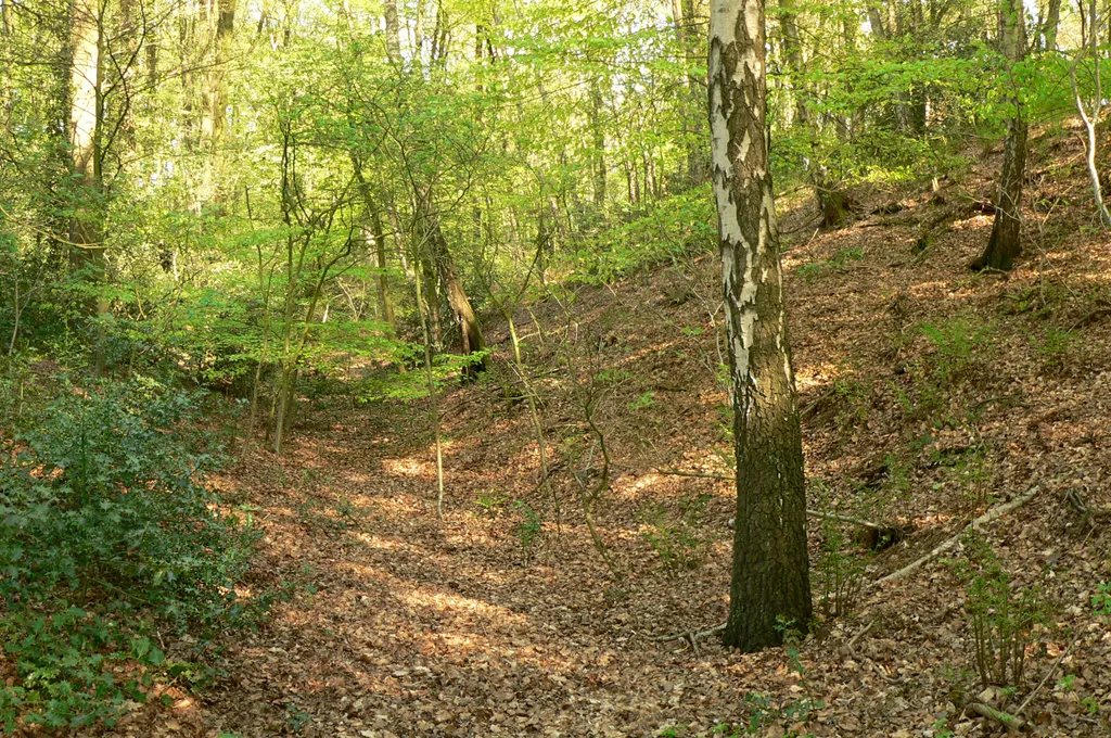 Abschnittsgraben der Dersaburg