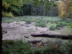 Hünenburg