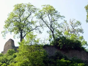 Podgrodzie Castle