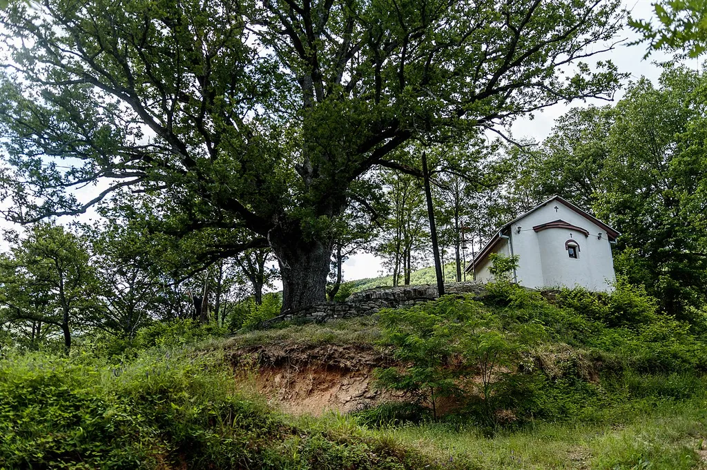 View of the St. Petka Church in the village Virovo