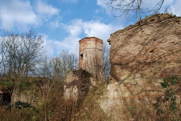 Weißandt-Gölzau, Ruine des Schlosses
