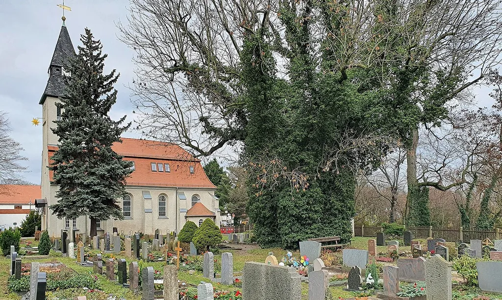 Kirchfriedhof Zweinaundorf - Gräberfeld mit Südseite Kirche