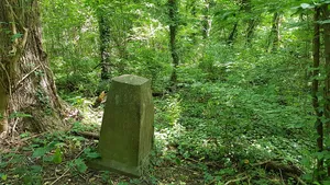 Belgium-Netherlands boundary stone no. 51a