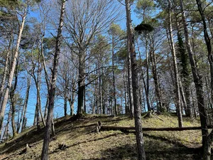 Burgstelle Multberg