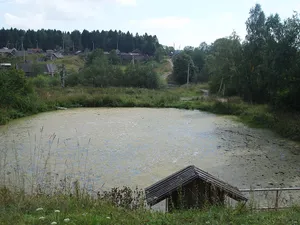 Spasskoye-Kurkino