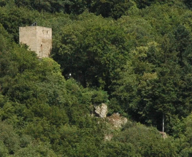 Ruine der Burg Alt-Wolfstein
