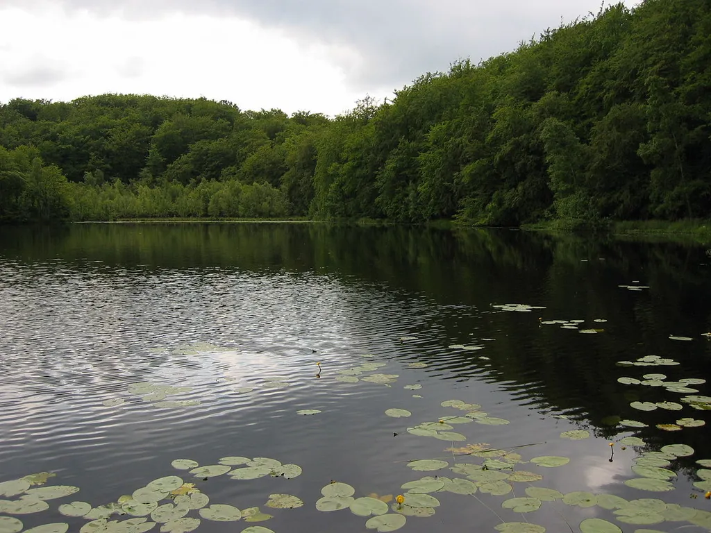 Schwarzer See, bei Sellin auf Rügen, Deutschland