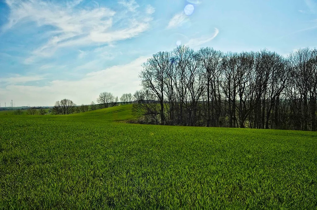 Burgberg Zschaitz in der Lommatzscher Pflege