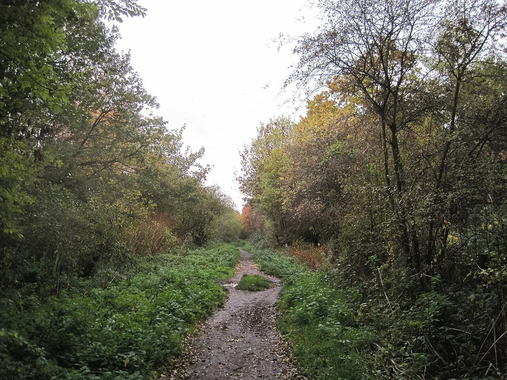 Copthall Railway Walk in Mill Hill, Barnet, London