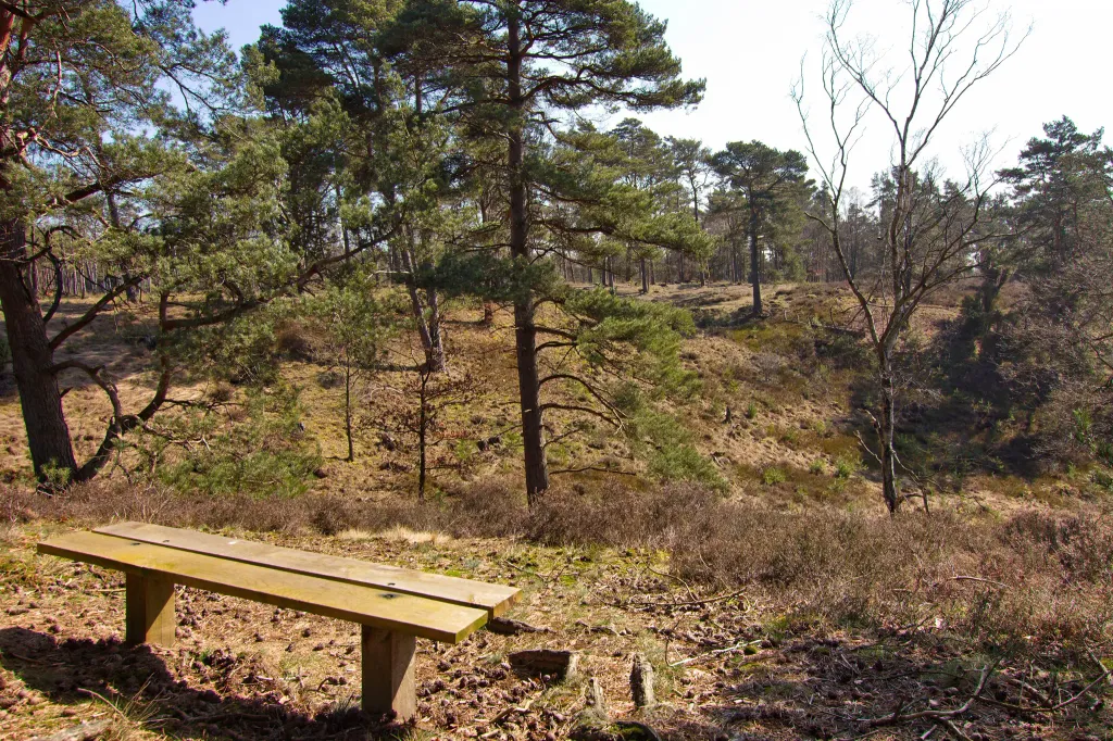 Borstel in der Kuhle