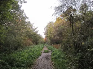 Copthall Railway Walk and Copthall Old Common