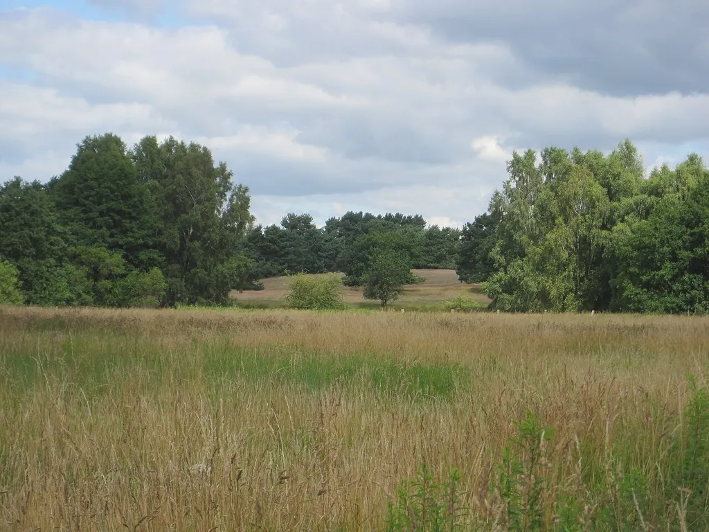 Herrnburger Binnendüne südlich des Lüdersdorfer Bachs