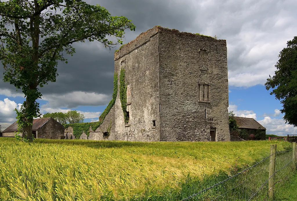Castles of Leinster: Shrule, Laois (1)