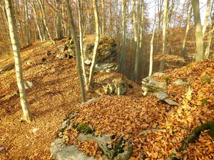 Burg Genkingen